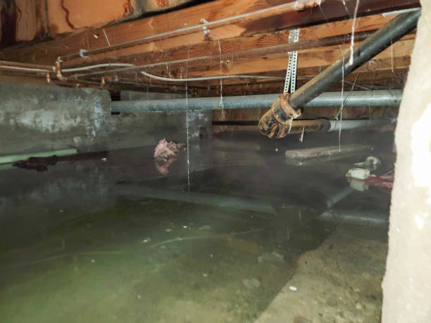 Best Fire Damage Restoration  in Cressona, PA