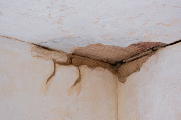 Best Basement water damage restoration  in Cressona, PA