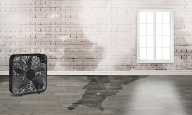 Best 24/7 water damage repair  in Cressona, PA