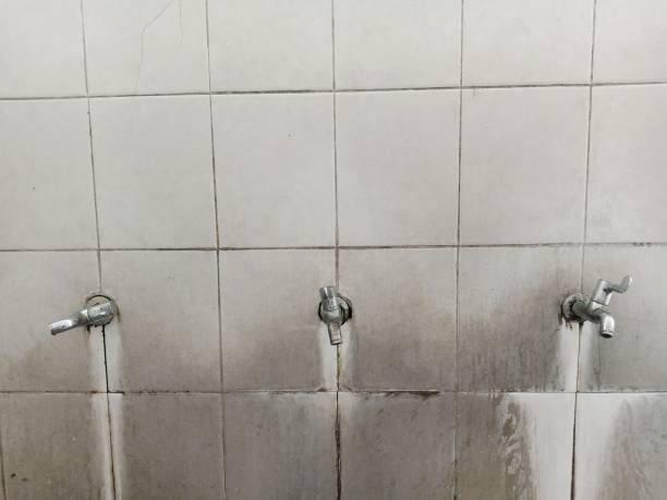 Best Ceiling water damage repair  in Cressona, PA